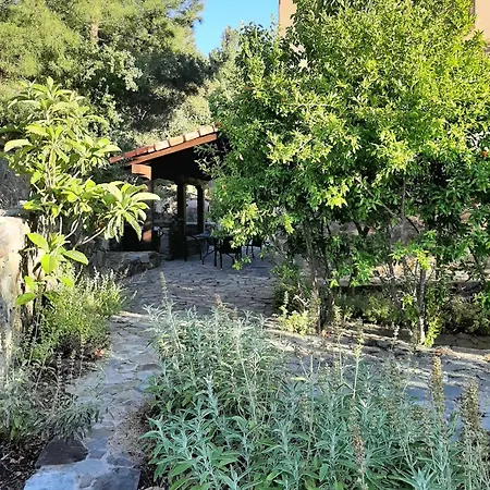 Fikardou Almond Park Phicardou