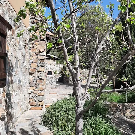 Fikardou Almond Park * Phicardou