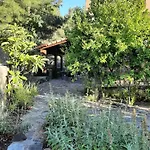 Fikardou Almond Park Phicardou