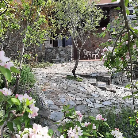 Villa Fikardou Almond Park *