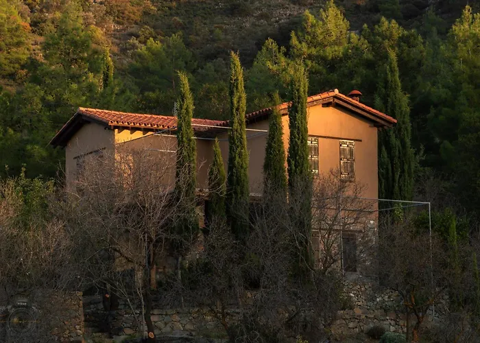 Fikardou Almond Park Phicardou