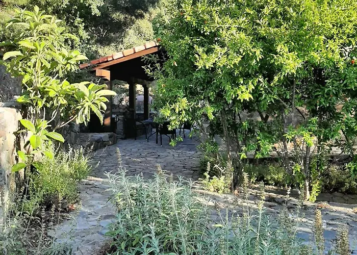 Fikardou Almond Park Phicardou