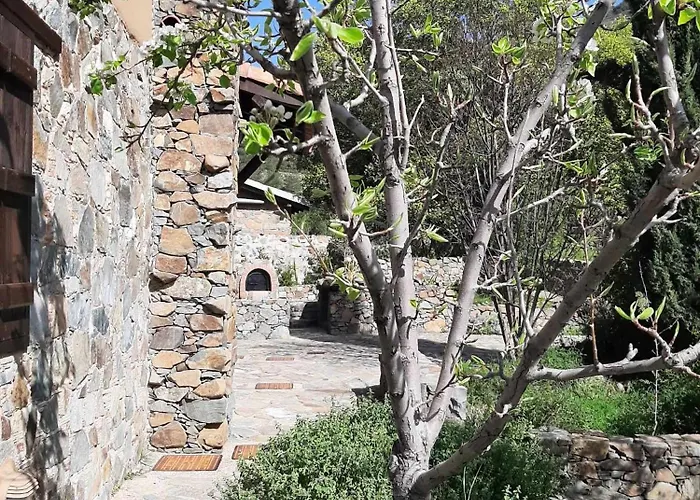 Fikardou Almond Park * Phicardou